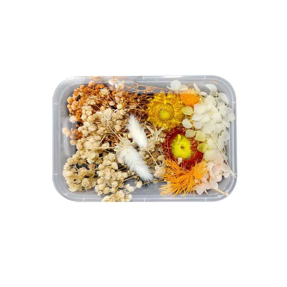 Canvazo Dried Flowers For Resin Art - ( Choose Colours ) Canvazo