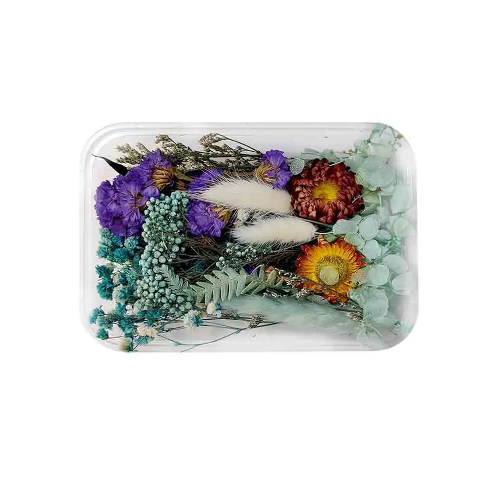 Canvazo Dried Flowers For Resin Art - ( Choose Colours ) Canvazo