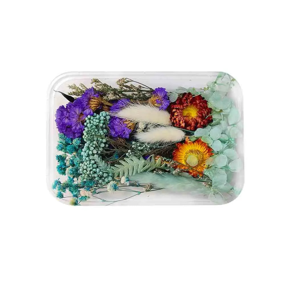 Canvazo Dried Flowers For Resin Art - ( Choose Colours ) Canvazo