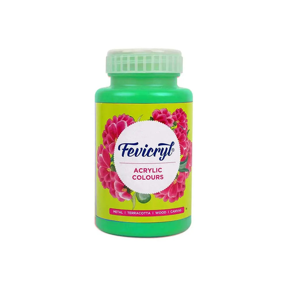 Pidilite Fevicryl Acrylic Colours 500ml (Loose) Pidilite