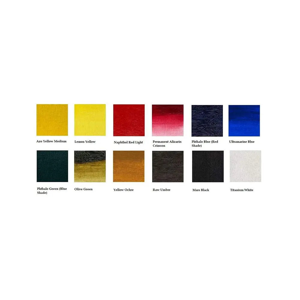 Winsor & Newton Professional Acrylic Colour - 12X20 ml Tubes Set Winsor & Newton